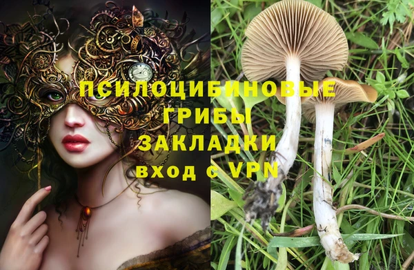 сатива Алексеевка