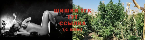 сатива Алексеевка