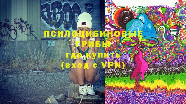 амф Алексин