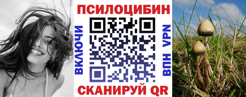 Псилоцибиновые грибы Magic Shrooms цена маркетплейс состав Чаплыгин