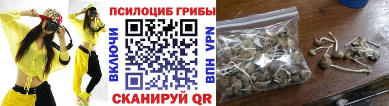 Галлюциногенные грибы Psilocybine cubensis Чаплыгин